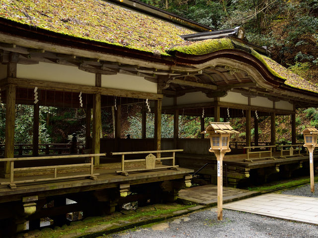 �R��_��_�R��_��