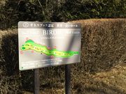 AKKIE̎HStyR[X̓eʐ^1