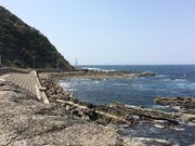 K`R̒RԉYC݃R[X̓eʐ^1