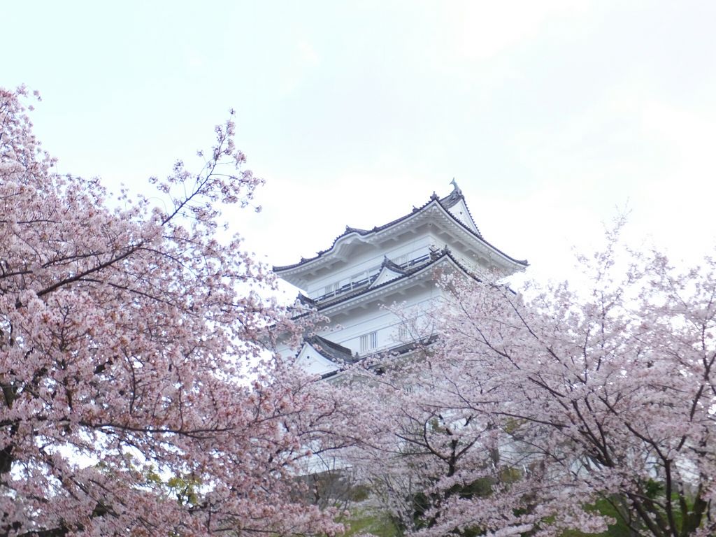 18 関東のお花見 桜名所おすすめ30選 きれいな桜を見に行こう じゃらんニュース