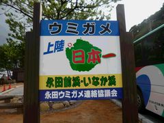 䂤̉icEȂlւ̓eʐ^1