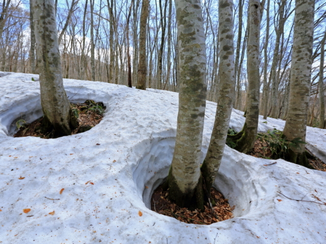 ����R�t��_��R