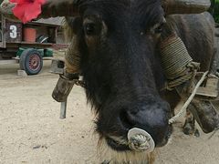 AT̔dRόtF[ւ̓eʐ^1