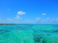 ܂肿񂳂̃}T[rXނʁ[ւ̓eʐ^1