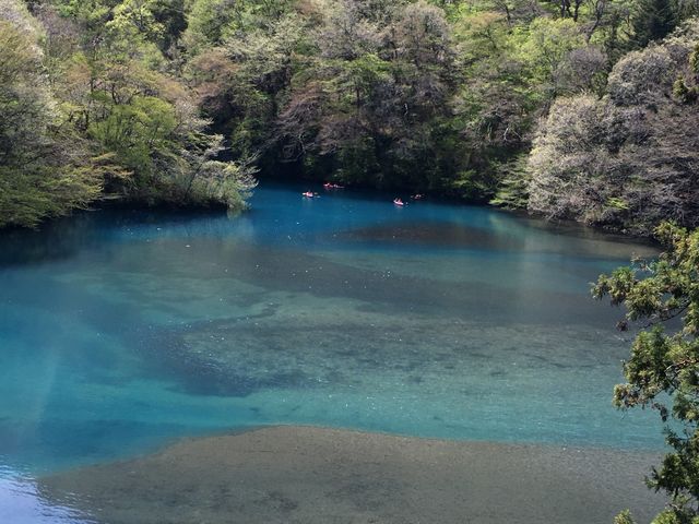 静かに鑑賞できました_四万湖