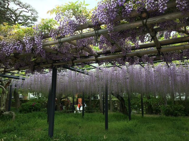 �Y��ȓ��I_�����@�̂ӂ�