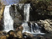 �C���_�C����̂�����т̑�̓��e�ʐ^3