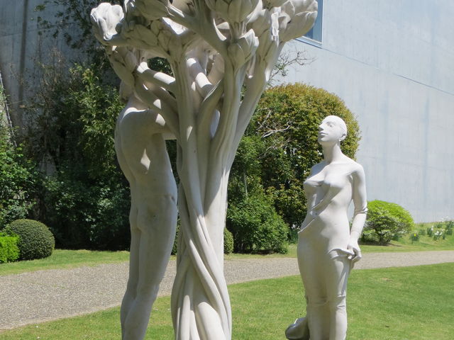 �뉀���̃��@���W�̒���_�N���}�`�X�̋u