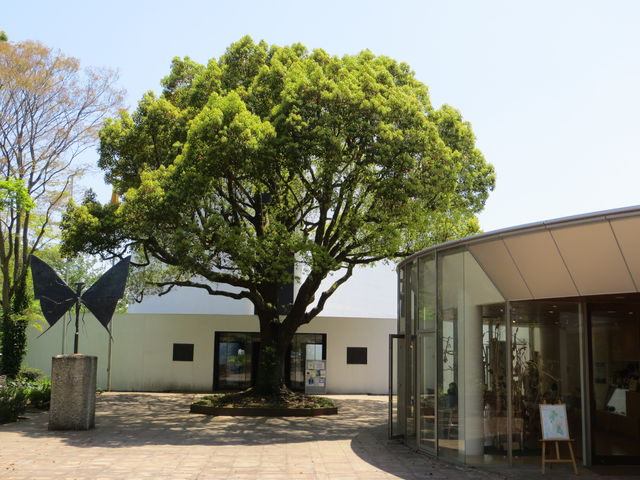 �x���i�[���E�r���b�t�F���p�ٓ�����ƃe�B�[���[��_�N���}�`�X�̋u