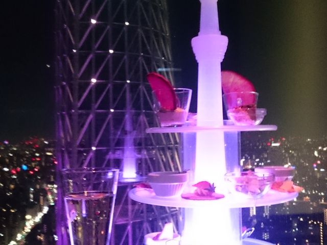 R^[̓V󃉃EW Top of Tree̓eʐ^1