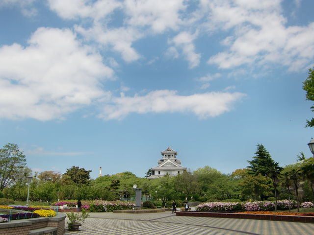 �L����_�L����