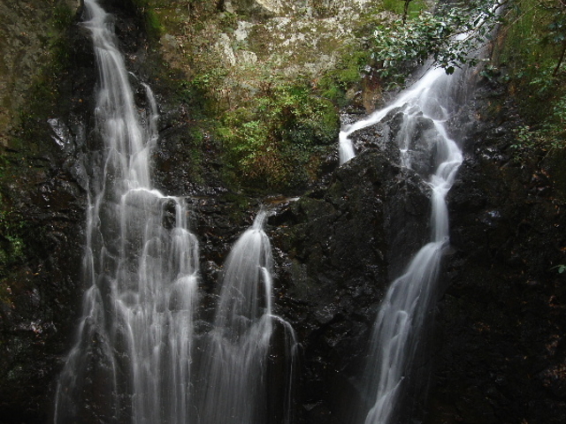 �ۂ�ۂ�����̓y�X�C�ω���̓��e�ʐ^1