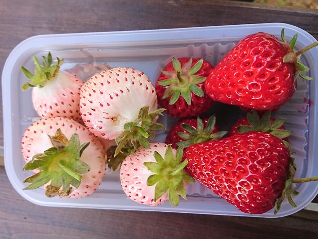 Bł(*L&#65091;M*) __