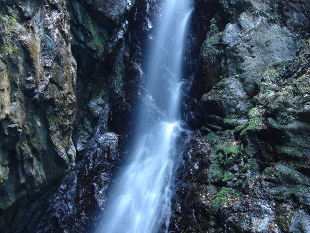 �ۂ�ۂ�����̑��֕��̑�̓��e�ʐ^2