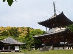 根來寺大塔の口コミ一覧 じゃらんnet