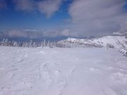 Lagar̎uꍂGAuXL[v̓eʐ^1