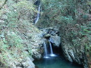 �ۂ�ۂ�����̑��֕��̑�̓��e�ʐ^1