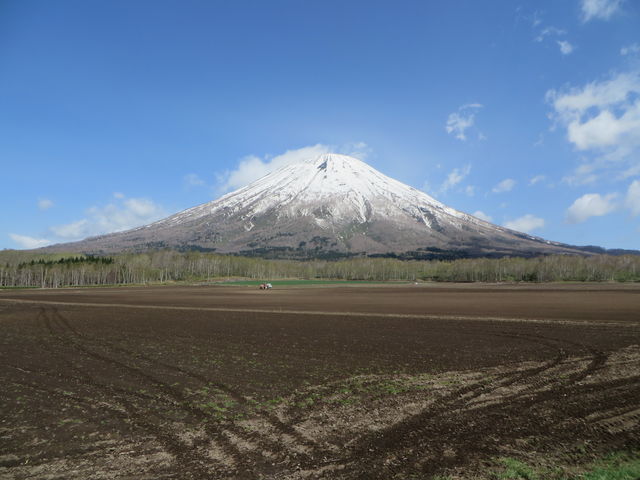 �t�̗r��_�r���R