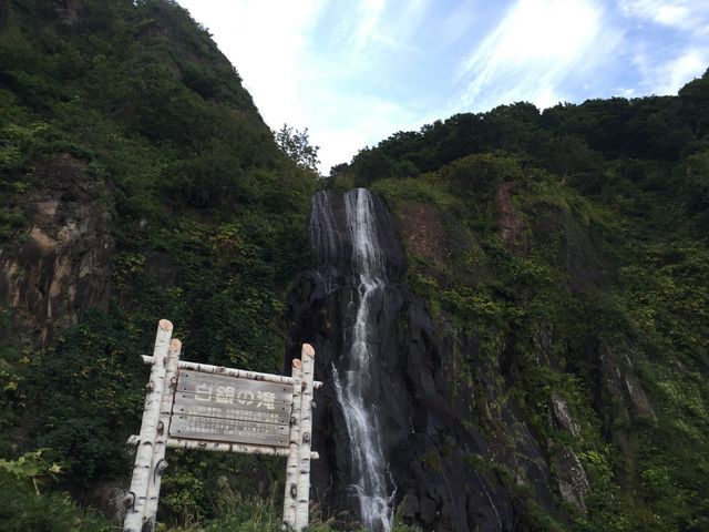 �����ʂ��痬��Ă��Ă邻���ł�_����̑�