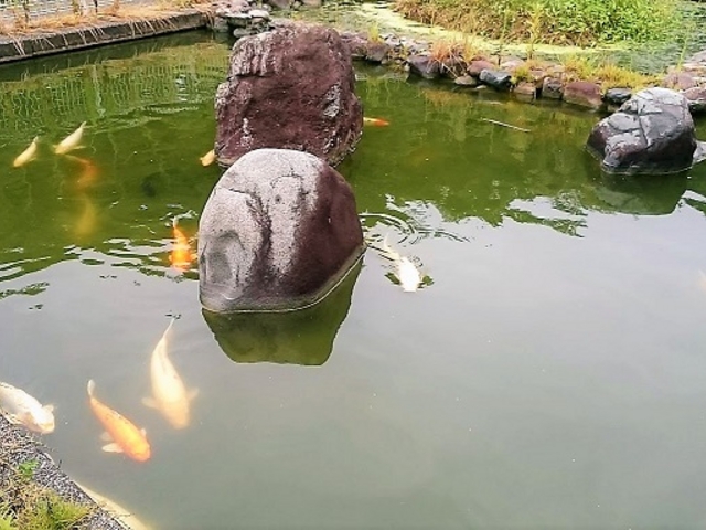 �r�ɂ͌�����܂�_�����T�[�r�X�G���A�i������j