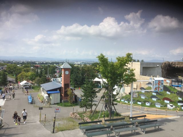 ���������_���R������