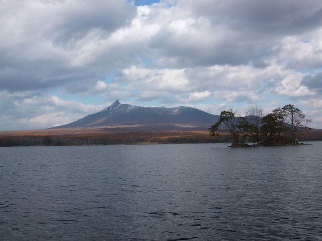 �Y��ȑ��_����������