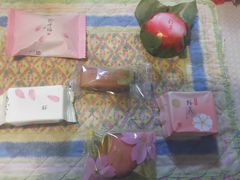 ̃^JV}@^CYXNGAւ̓eʐ^1