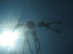 ̃}T[rXނʁ[ւ̓eʐ^1