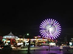 ���肳��̃J�[�j�o���p�[�N�E�~�n�}�ւ̓��e�ʐ^1