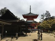 poporon̏y񓰂̓eʐ^1