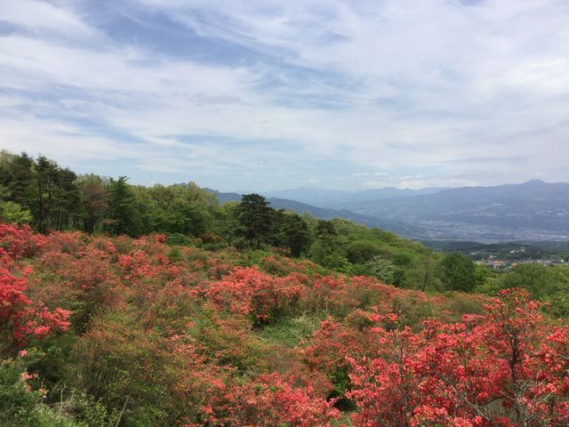 �W�]�䂩��̒���_�������