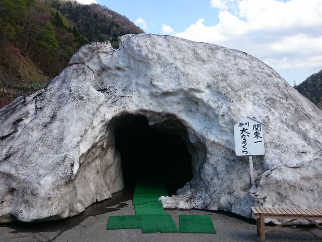 ꂨ񂳂̒JxhCuC@َq̉Ƃ̓eʐ^7