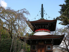 ���䂣����̍��Ҏ��哃�ւ̓��e�ʐ^1