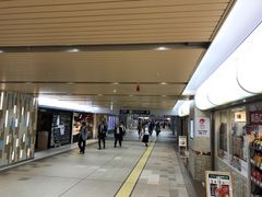 topologỹAfVւ̓eʐ^1