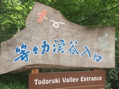 Nammy̓X͌kJւ̓eʐ^1