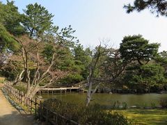 キヨさんの芦城公園の投稿写真2