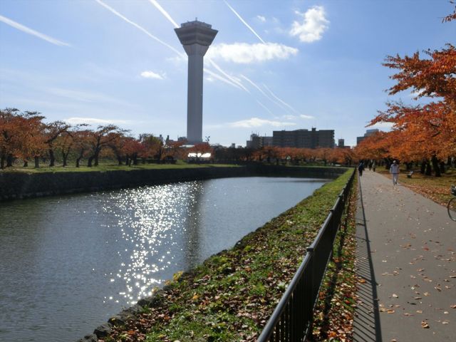 ����Ă������悢_�ܗŊs����