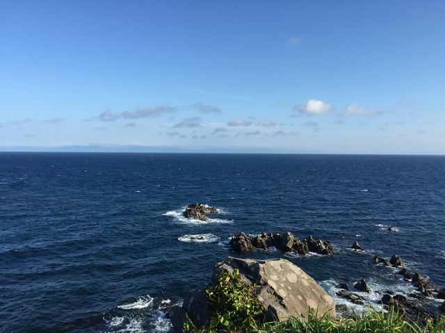 �V�C���ǂ���΁A�����ɖ{�B�i�X���j�������邩���H_���Җ�