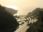 ˂񂳂̕lY̒Ic̓eʐ^1