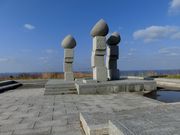 higekuma50̖kǖ̓eʐ^1