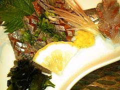 傭̋y ؉ KH2ړXւ̓eʐ^1