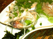 傭̔؉k43ړX̓eʐ^1