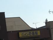 肳̃J[nEXCoCoԉQnxCVAڂX̓eʐ^1