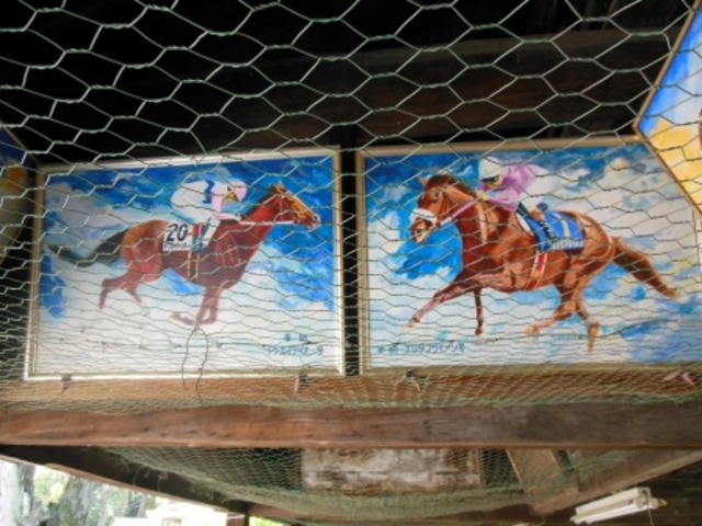 �g�E�J�C�e�C�I�E�ƃi���^�u���C�A��_���X�_��