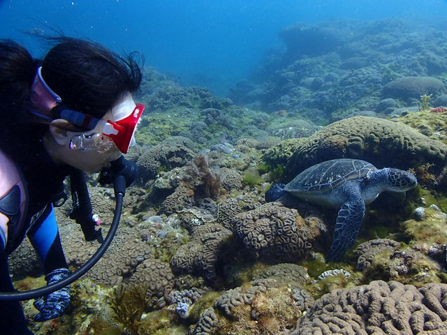 �߂��Ō��Ă����v�ł����B_�G�o�[�u���[���v��