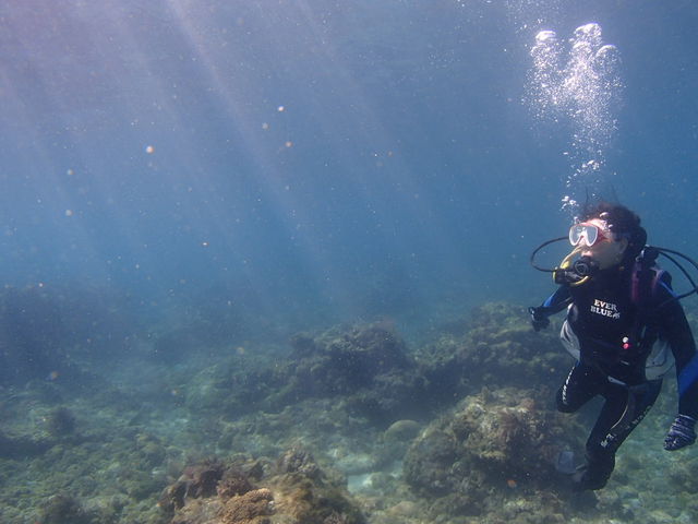 ���z�̌������L���C�`_�G�o�[�u���[���v��