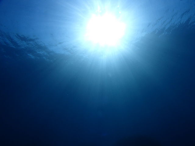 ���z��ῂ����`_�G�o�[�u���[���v��