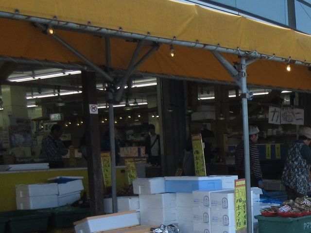 �s��_���}�T���Y �s������X