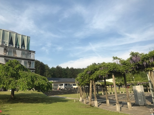 炳炳񂲂̓̉wԂ̓eʐ^1