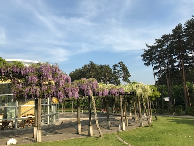 {݂̑Oɂ铡IԖJłB_̉wԂ